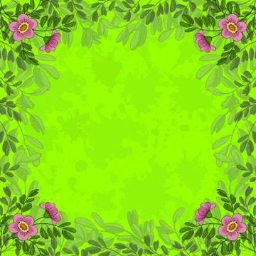 Flowers on green background Stock Illustration