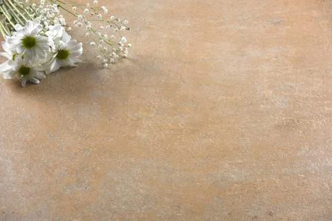Flowers on grey stone background Stock Photos