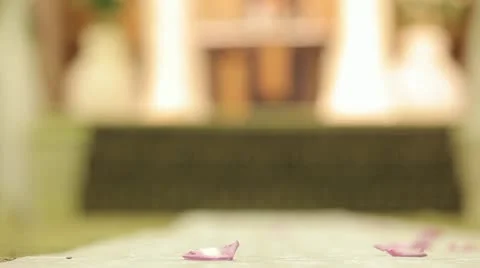 Flowers On The Ground Stock Footage 11399487