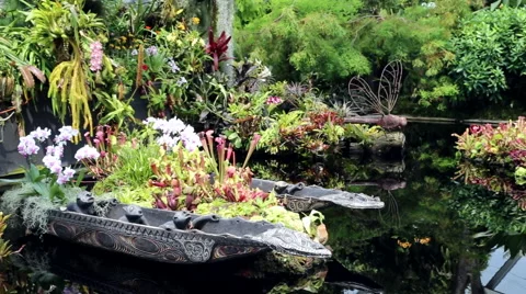 Flowers Growing in a Canoe Stock Footage 62653242