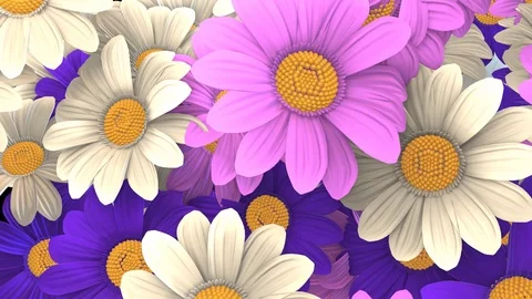 Flowers Growing Swipe Transition 動画素材 73275121