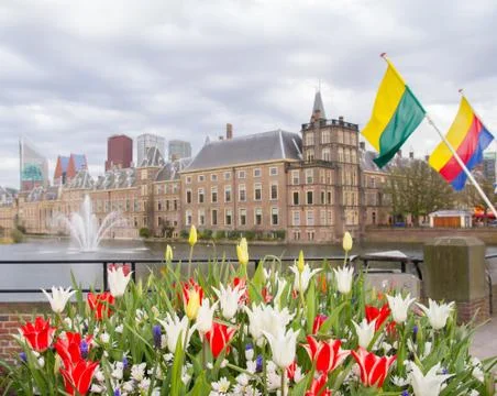 Flowers in the hague Stock Photos