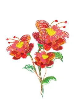 Flowers hand drawn Stock Illustration