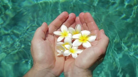 Flowers in hands in the pool.mp4 動画素材 64228736
