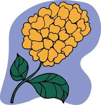 Flowers hydrangea1 Stock Illustration