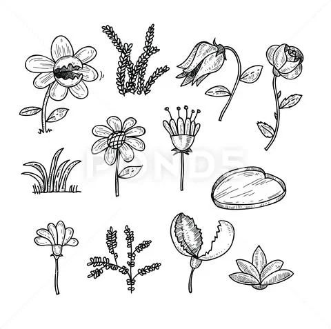 Flowers icons set, vector illustration. Stock Illustration