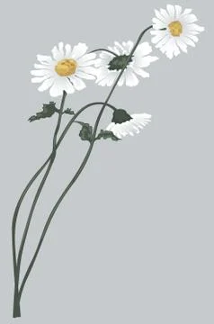 Flowers Stock Illustration