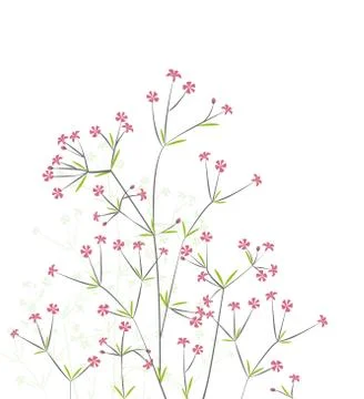 Flowers Stock Illustration