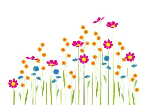 Flowers Stock Illustration