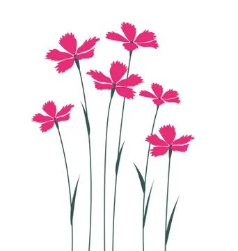 Flowers Stock Illustration