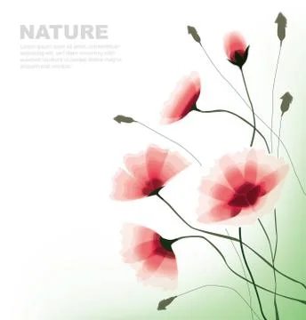 Flowers Stock Illustration