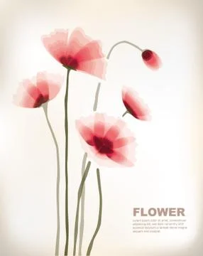 Flowers Stock Illustration
