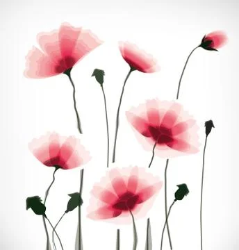 Flowers 스톡 일러스트