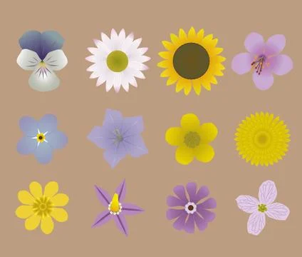 Flowers Illustrazione stock