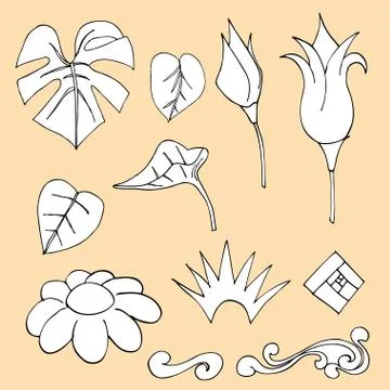 Flowers Illustrazione stock