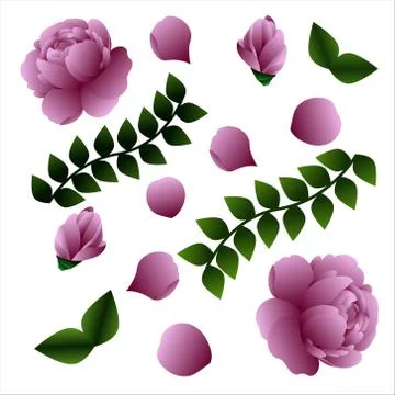 Flowers Stock Illustration