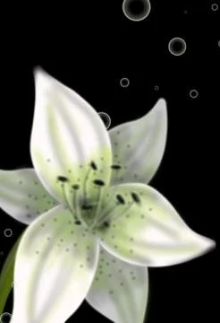 The flowers Stock-Illustration
