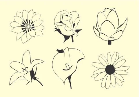 Flowers イラスト素材