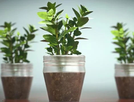 Flowers Stock Illustration