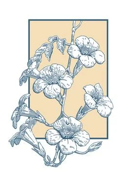 Flowers Stock Illustration