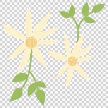 Flowers 스톡 일러스트