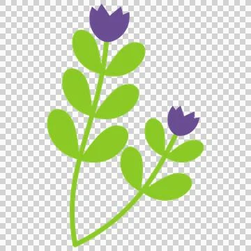 Flowers Stock Illustration