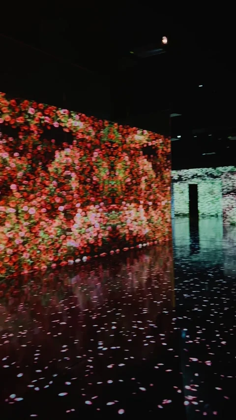 Flowers Immersive Exhibition 3 Video stock 328843100