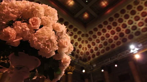 Flowers Inside Backlighting Stock Footage 60104882