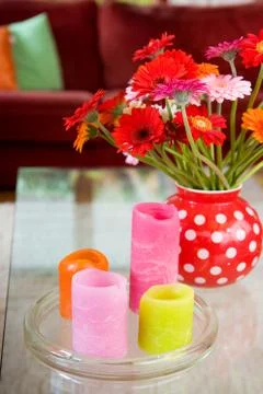 Flowers in interior Stock Photos