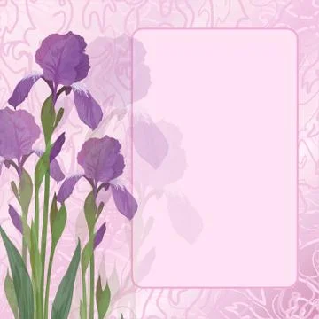 Flowers iris on pink background Stock Illustration