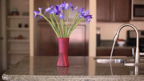 Flowers -  irises on the kitchen table with running water Stock Footage 94048111