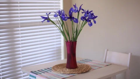 Flowers - irises in vase on the table Stock Footage 94040375