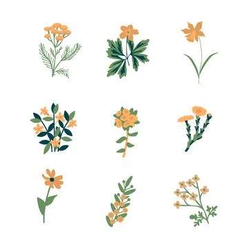 Flowers isolated set Stock Illustration