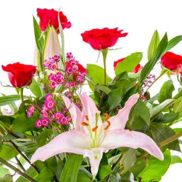 Flowers Isolated on White Stock Photos