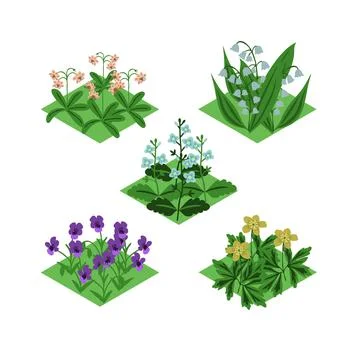 Flowers isometric set Stock Illustration