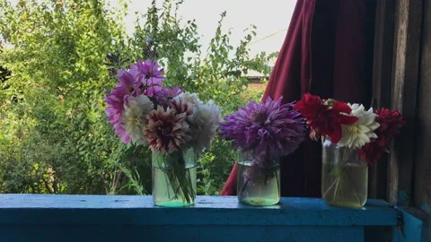 Flowers in jars 库存影片 93353659