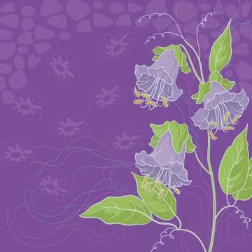 Flowers kobe and abstract pattern Stock Illustration