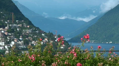 Flowers on the lake Stock Footage 729241