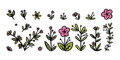 Flowers, leaves and branches elements for ornaments. Decorative floral elements 스톡 일러스트