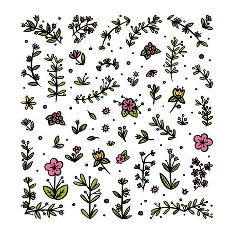 Flowers, leaves and branches elements for ornaments. Decorative floral pattern 스톡 일러스트