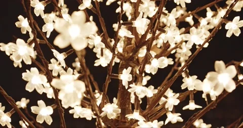 Flowers with lights Vídeo Stock 167603950