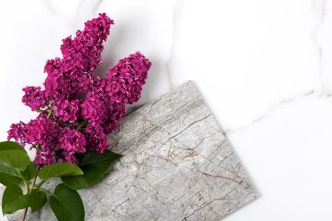 Flowers lilac composition Stock Photos
