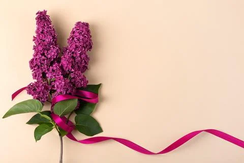 Flowers lilac composition Stock Photos