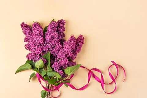 Flowers lilac composition Stock Photos