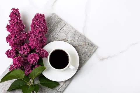Flowers lilac composition Stock Photos