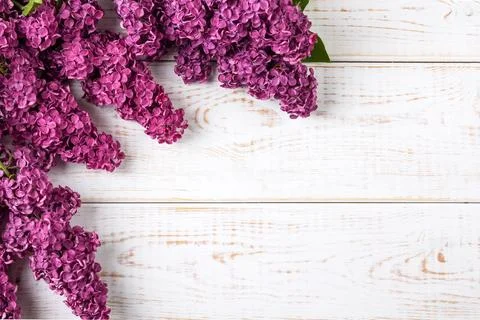 Flowers lilac composition Foto stock