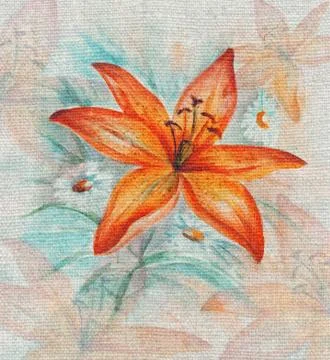 Flowers, lily Stock Illustration