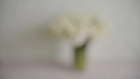 Flowers lily of the valley stand on the table background Stock Footage 90262666