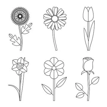 Flowers line drawings Stock Illustration