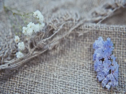 Flowers on a linen background Vidéo 73551564